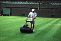 wimbledon-mowing.jpg