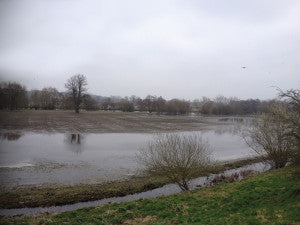 Culham Court flood 410