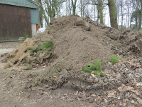 SmallCompostPile