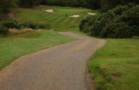 Grassform CoombeHillGC-Buggy Path-1.JPG