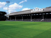 Fulham9