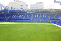 chelsea-county-turf-2-lo-re.jpg