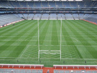 fig 13; pitch prepared for all ireland hurling final, 6 weeks after laying.jpg