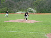 Halton Pitcher