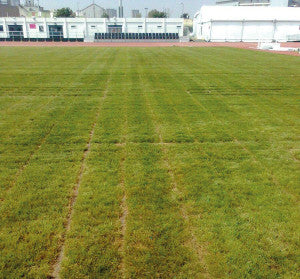 Shelton Olympic Park after Gravel Band Draining