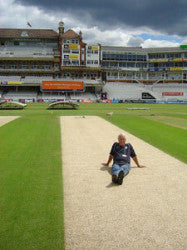 ODI-wicket-England-v-Austra.jpg