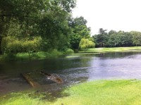 Edgbaston StreamFlood