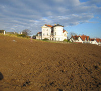 Gullane-elevation.jpg