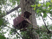 KestrelNestBox