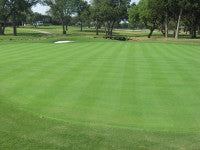 16 Green on 9.22.08 002.jpg