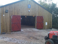 new shed