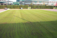 151003topdressing.jpg