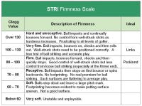 STRIFirmnessScale.jpg