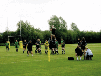 LeicesterUniversity Tigers