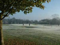 frosty-golf-trees.jpg
