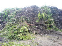 Green-waste-at-Brier-Hills-.jpg