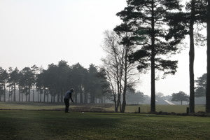 Hankley Common 