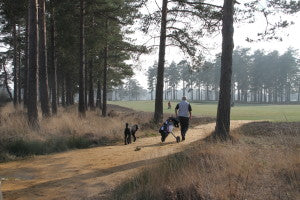 Hankley Common 