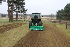 Hankley Common 