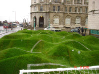 liverpool grass art