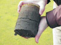 Compost rootzone Profile in hands