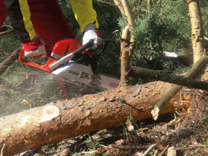 656C chainsaw (action)