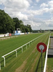 HamiltonParkRacecourse