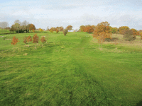 AlresfordGC looking back at the 2nd tee