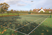 Tennis Leaves