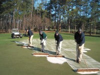 Topdressing the old fashioned way - Drop and brush (Large).jpg