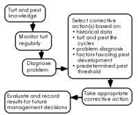 IPM-Fig1.eps