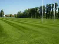 RugbyPitch3WeeksAfterSeeding