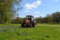 Bluebells in full bloom Kubota 3600 Image 2