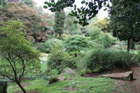 LutonHoo Gardens2