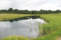 LutonHoo WaterHazard