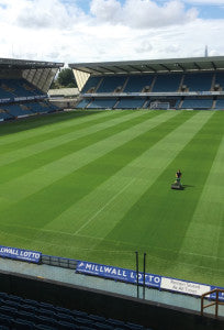 Millwall FC IMG 8471