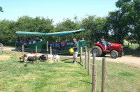 Mead Open Farm 2.jpg