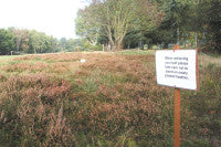 FulfordHeatherSign.jpg