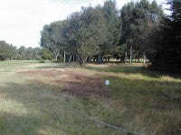 fulford-STRI4.jpg