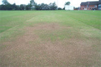 cannockcricketendclose.jpg