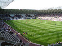 fulham-pitch.jpg