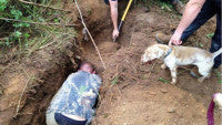 BBCHolywell Digging