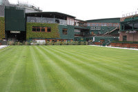 Wimbledon lawn