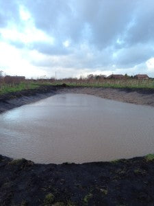 Three Owls pond completed and filled