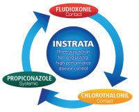 Syngenta - Instrata  3-way graphic.jpg