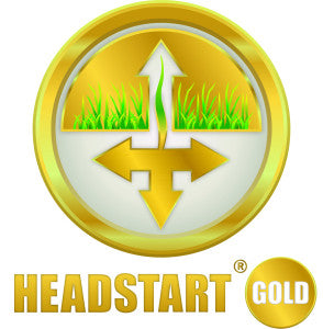 HEADSTART GOLD sml