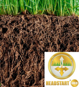 Headstart Gold better root growth