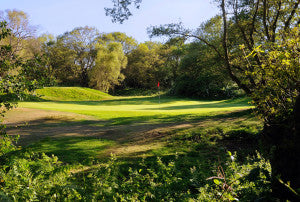 Wimbledon common