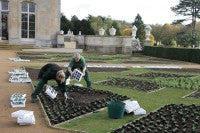 WrestPark Planting