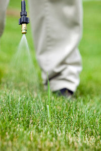 iStock Spraying